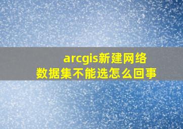 arcgis新建网络数据集不能选怎么回事