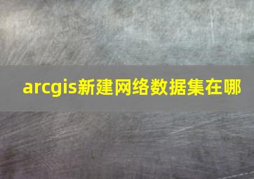 arcgis新建网络数据集在哪