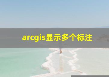 arcgis显示多个标注