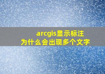 arcgis显示标注为什么会出现多个文字