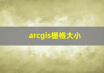 arcgis栅格大小