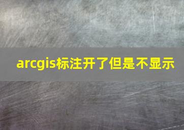 arcgis标注开了但是不显示