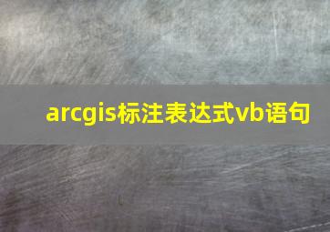 arcgis标注表达式vb语句