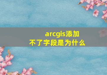 arcgis添加不了字段是为什么