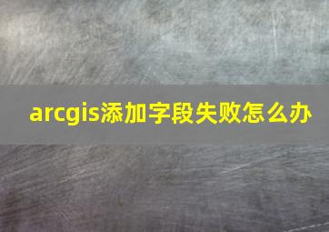 arcgis添加字段失败怎么办