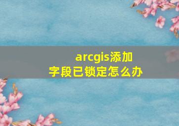 arcgis添加字段已锁定怎么办