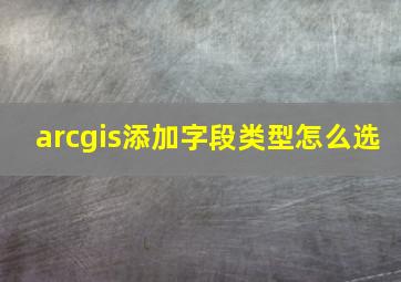 arcgis添加字段类型怎么选