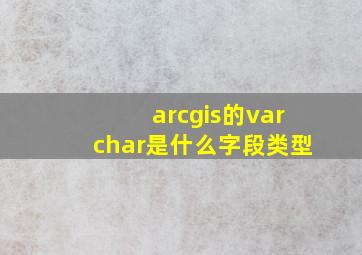 arcgis的varchar是什么字段类型