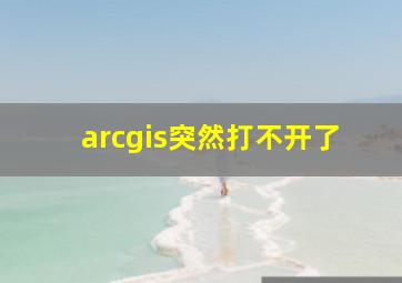 arcgis突然打不开了