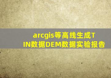 arcgis等高线生成TIN数据DEM数据实验报告