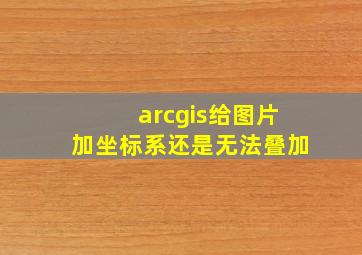 arcgis给图片加坐标系还是无法叠加