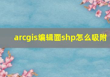 arcgis编辑面shp怎么吸附