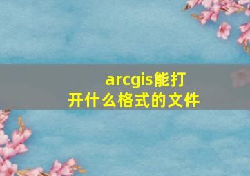 arcgis能打开什么格式的文件