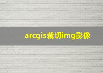 arcgis裁切img影像