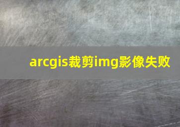 arcgis裁剪img影像失败