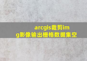 arcgis裁剪img影像输出栅格数据集空