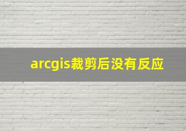 arcgis裁剪后没有反应