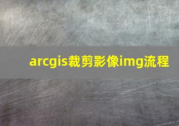 arcgis裁剪影像img流程