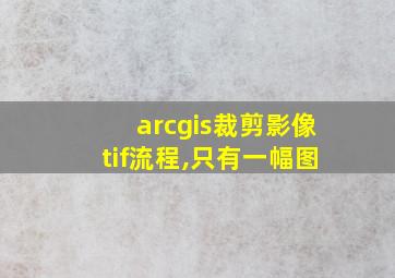 arcgis裁剪影像tif流程,只有一幅图