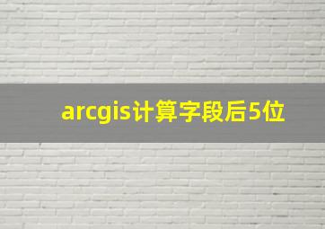 arcgis计算字段后5位