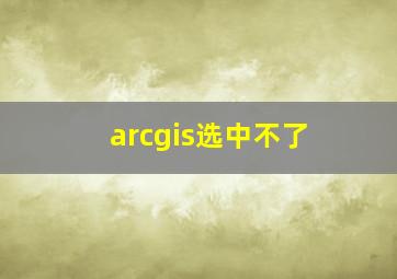 arcgis选中不了