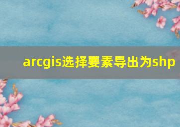 arcgis选择要素导出为shp