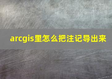 arcgis里怎么把注记导出来