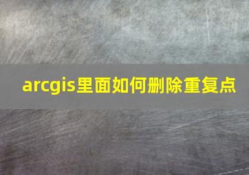 arcgis里面如何删除重复点