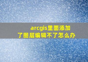 arcgis里面添加了图层编辑不了怎么办