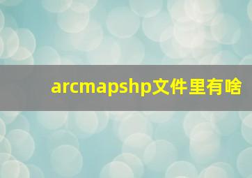 arcmapshp文件里有啥