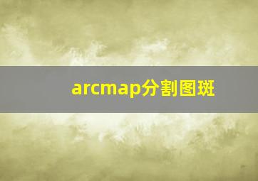 arcmap分割图斑