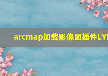 arcmap加载影像图插件LYR