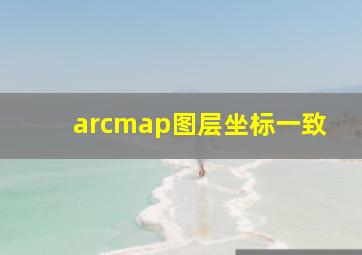 arcmap图层坐标一致