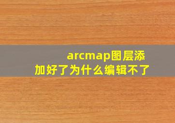 arcmap图层添加好了为什么编辑不了