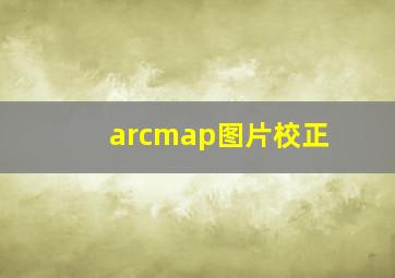 arcmap图片校正