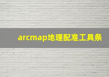 arcmap地理配准工具条