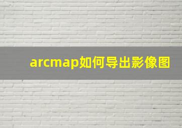 arcmap如何导出影像图