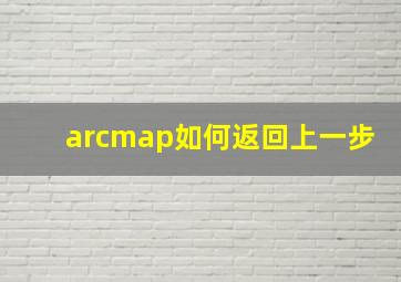 arcmap如何返回上一步