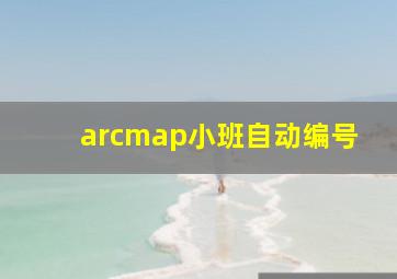 arcmap小班自动编号