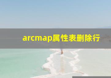 arcmap属性表删除行