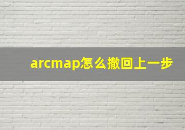 arcmap怎么撤回上一步