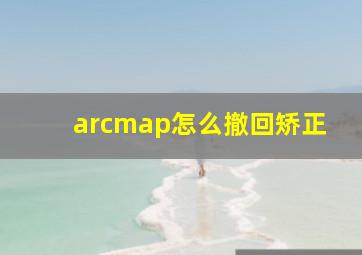 arcmap怎么撤回矫正