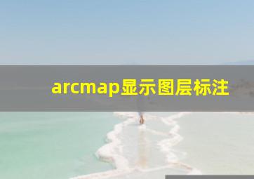 arcmap显示图层标注