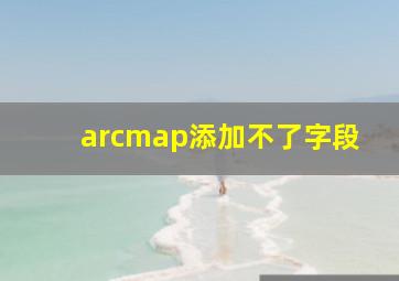 arcmap添加不了字段