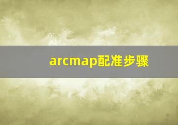 arcmap配准步骤