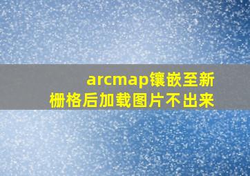 arcmap镶嵌至新栅格后加载图片不出来