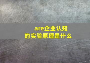 are企业认知的实验原理是什么