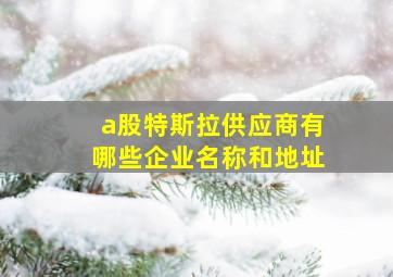 a股特斯拉供应商有哪些企业名称和地址