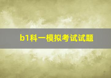 b1科一模拟考试试题