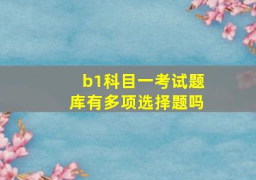 b1科目一考试题库有多项选择题吗